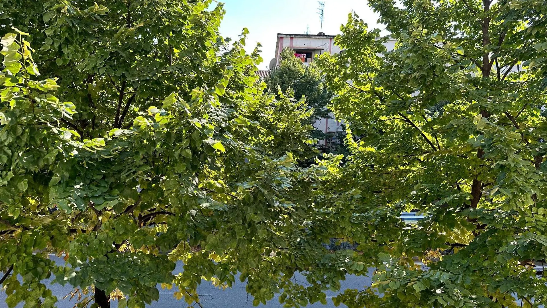 Sophia Daily Apartments Tirana Albanien